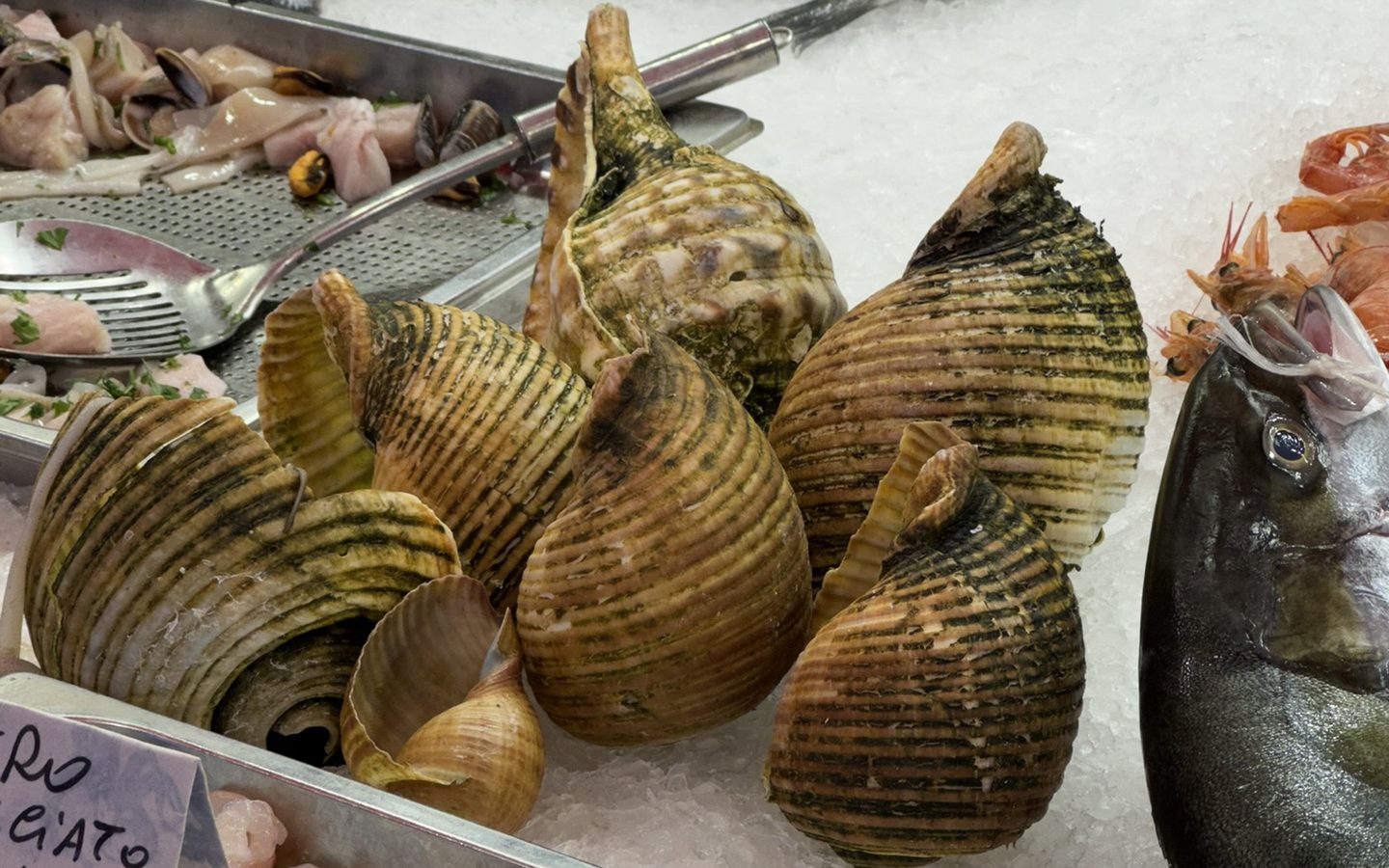 Морепродукты на рыбном прилавке