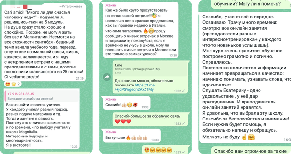 Отзыв ученика школы Magnitalia, скриншот 8
