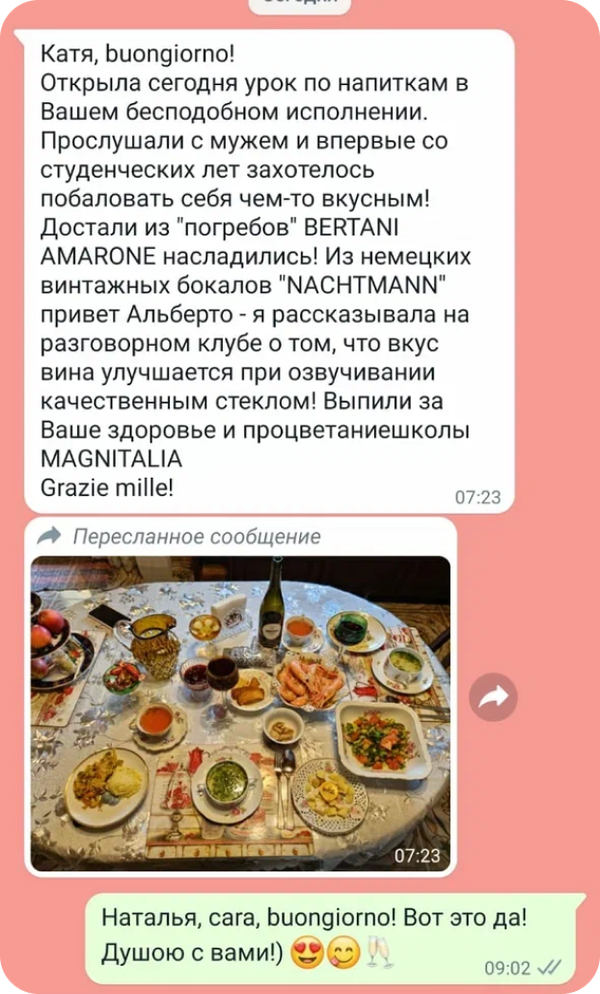 Отзыв ученика школы Magnitalia, скриншот 26