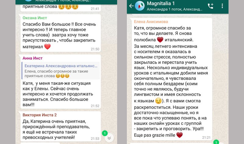 Ученики Magnitalia